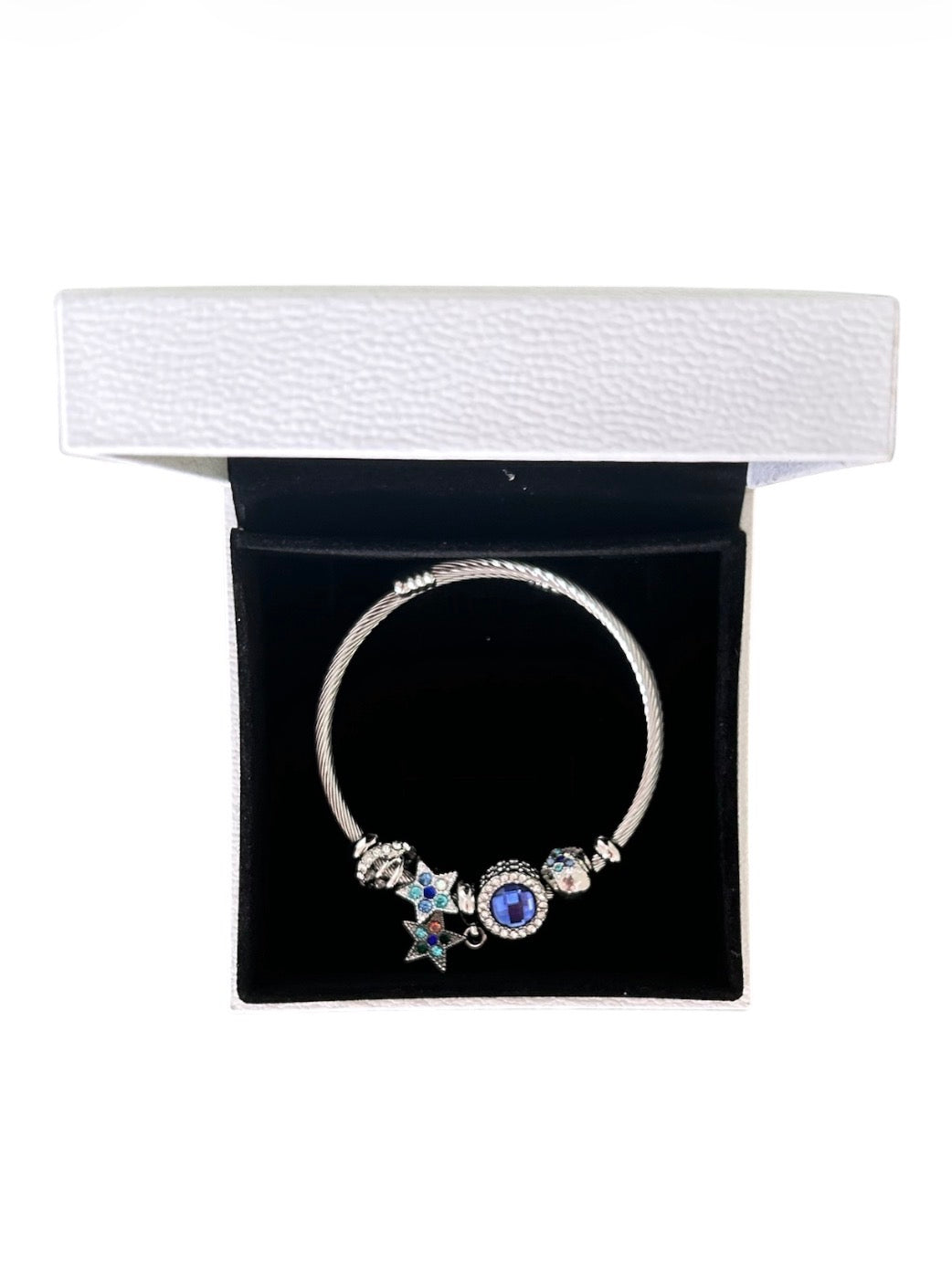 Pandora Bracelet with charms