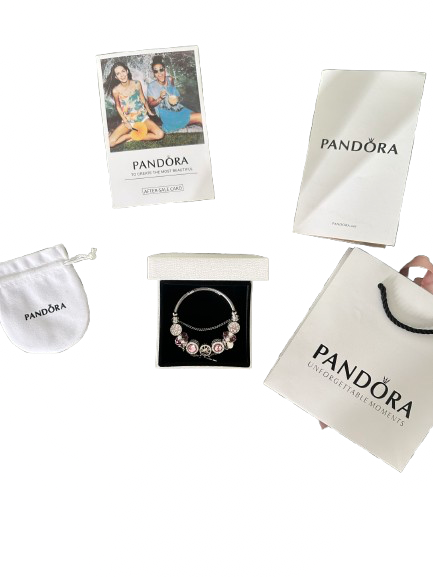 Pandora Bracelet with charms